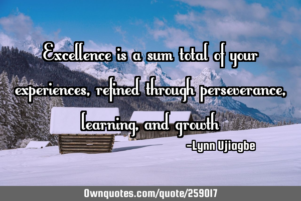 Excellence is a sum total of your experiences, refined through perseverance, learning, and