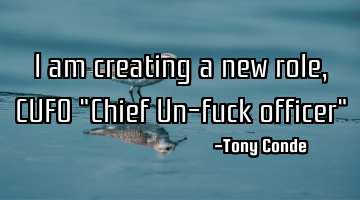 I am creating a new role, CUFO "Chief Un-fuck officer"