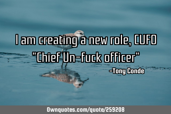 I am creating a new role, CUFO "Chief Un-fuck officer"