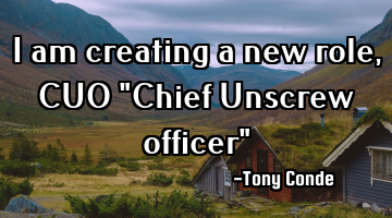 I am creating a new role, CUO "Chief Unscrew officer"
