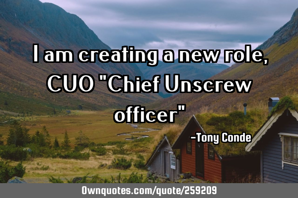 I am creating a new role, CUO "Chief Unscrew officer"