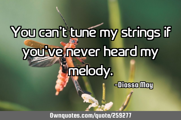 You can’t tune my strings if you’ve never heard my