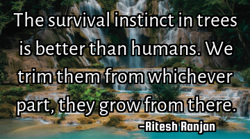 The survival instinct in trees is better than humans. We trim them from whichever part, they grow