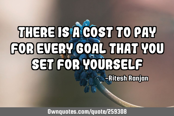 There is a cost to pay for every goal that you set for