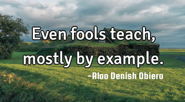 Even fools teach, mostly by example.