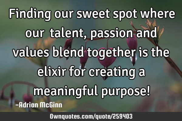 Finding our sweet spot where our ﻿talent, passion and values blend together is the elixir for