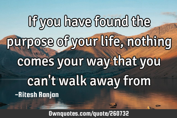 If you have found the purpose of your life, nothing comes your way that you can