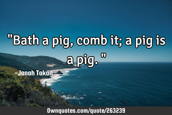 "Bath a pig, comb it; a pig is a pig."