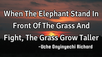 When The Elephant Stand In Front Of The Grass And Fight, The Grass Grow Taller