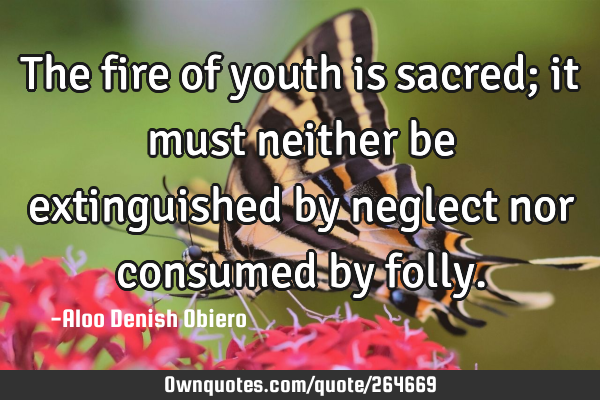 The fire of youth is sacred; it must neither be extinguished by neglect nor consumed by