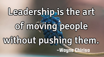 Leadership is the art of moving people without pushing them.
