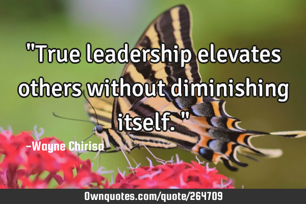 "True leadership elevates others without diminishing itself."