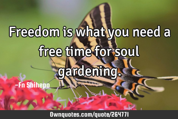 Freedom is what you need a free time for soul