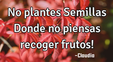 No plantes Semillas Donde no piensas recoger frutos!