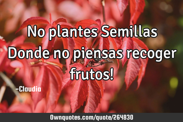 No plantes Semillas Donde no piensas recoger frutos!