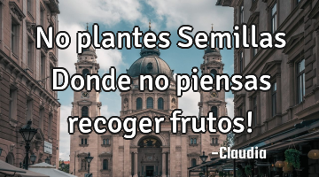 No plantes Semillas Donde no piensas recoger frutos!