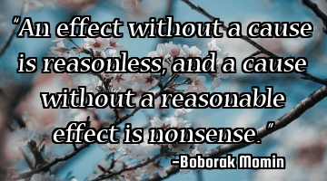 “An effect without a cause is reasonless, and a cause without a reasonable effect is nonsense.”