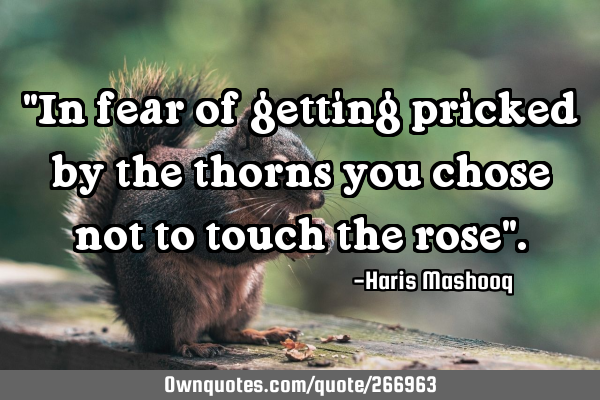 "In fear of getting pricked by the thorns you chose not to touch the rose"