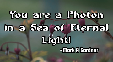 You are a Photon in a Sea of Eternal Light!