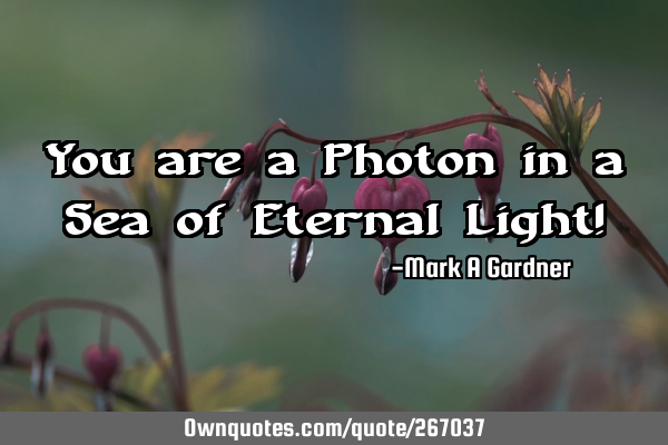 You are a Photon in a Sea of Eternal Light!