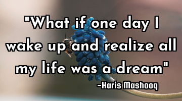 "What if one day I wake up and realize all my life was a dream"
