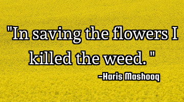 "In saving the flowers I killed the weed."