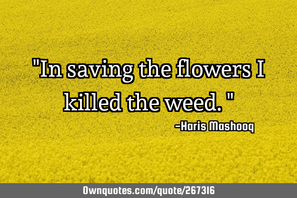 "In saving the flowers I killed the weed."