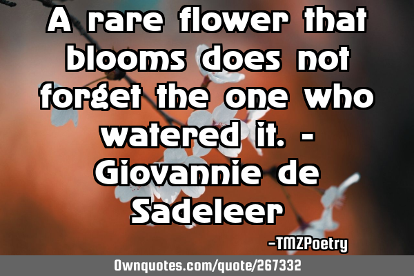 A rare flower that blooms does not forget the one who watered it. - Giovannie de S