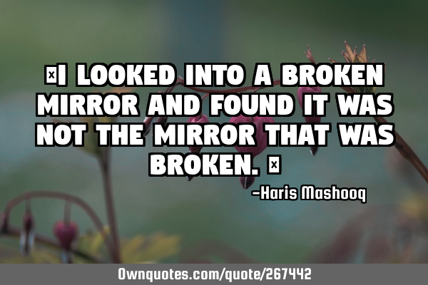 “I looked into a broken mirror and found it was not the mirror that was broken.”