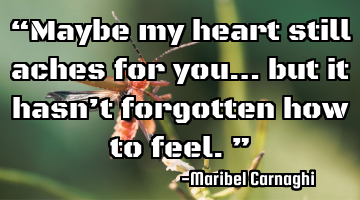 “Maybe my heart still aches for you… but it hasn’t forgotten how to feel.”