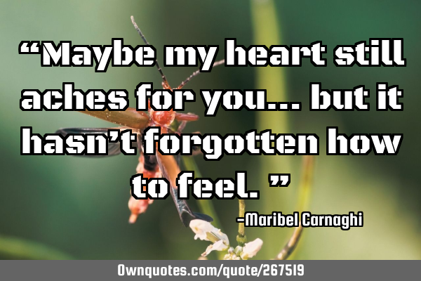 “Maybe my heart still aches for you… but it hasn’t forgotten how to feel.”