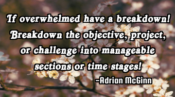 If overwhelmed have a breakdown!  Breakdown the objective, project, or challenge into manageable