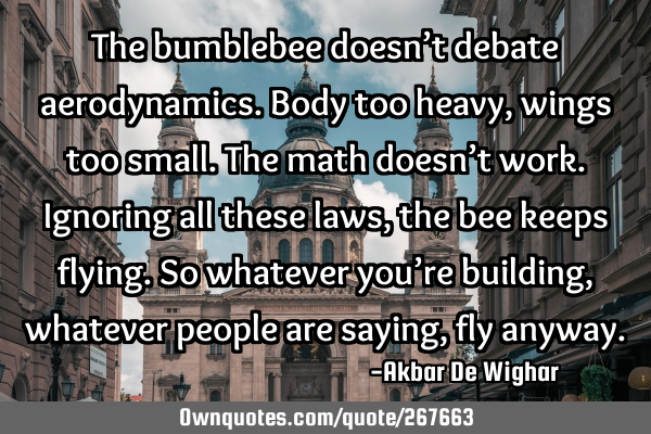 The bumblebee doesn’t debate aerodynamics. Body too heavy, wings too small. The math doesn’t