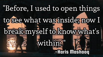 "Before, I used to open things to see what was inside; now I break myself to know what