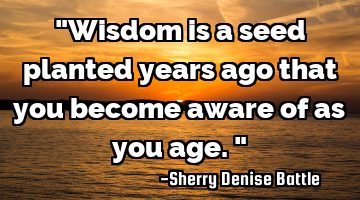 "Wisdom is a seed planted years ago that you become aware of as you age."