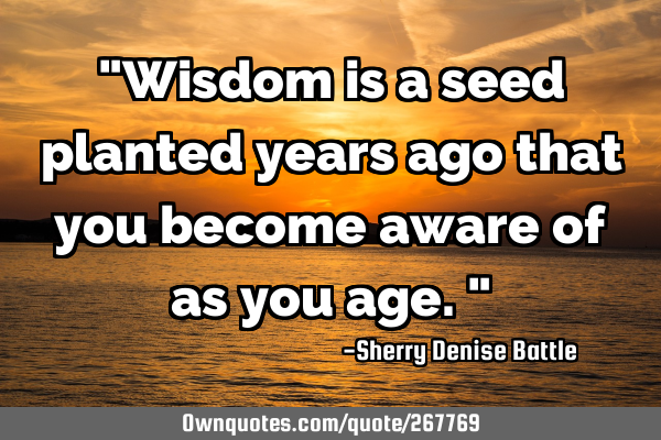 "Wisdom is a seed planted years ago that you become aware of as you age."