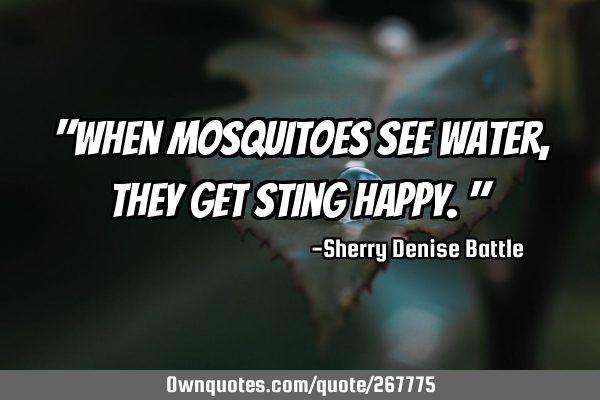 "When mosquitoes see water, they get sting happy."