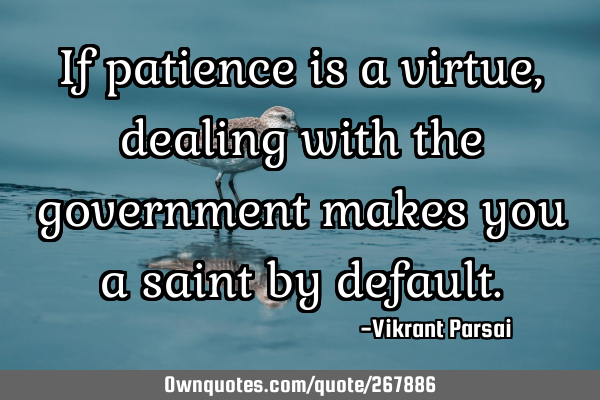 If patience is a virtue, dealing with the government makes you a saint by