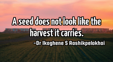 A seed does not look like the harvest it carries.