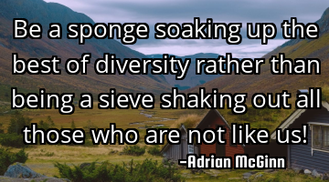 Be a sponge soaking up the best of diversity rather than being a sieve shaking out all those who