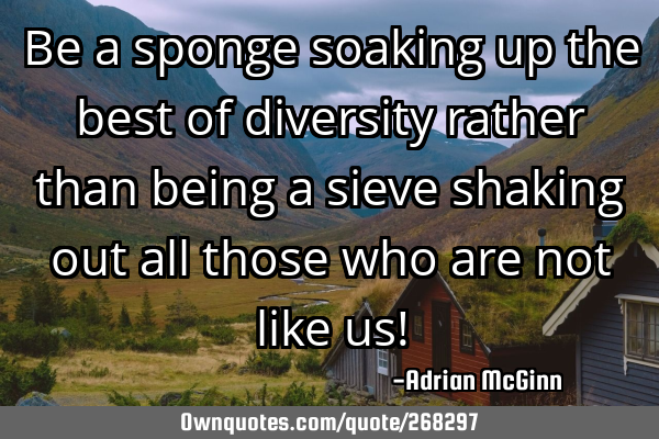 Be a sponge soaking up the best of diversity rather than being a sieve shaking out all those who