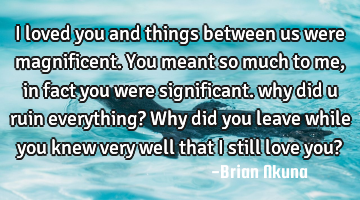 I loved you and things between us were magnificent. You meant so much to me, in fact you were