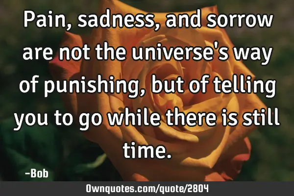 Pain, sadness, and sorrow are not the universe