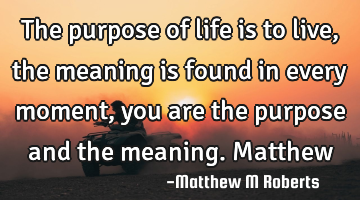 The purpose of life is to live,the meaning is found in every moment,you are the purpose and the
