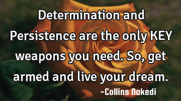 Determination and Persistence are the only KEY weapons you need. So, get armed and live your dream.