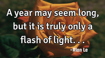 A year may seem long, but it is truly only a flash of light...