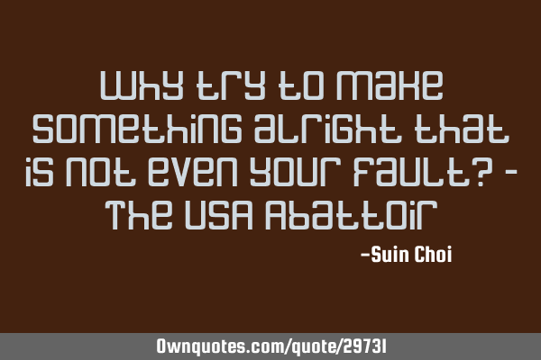 Why try to make something alright that is not even your fault? - The USA A