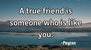 A true friend is someone who is like you.