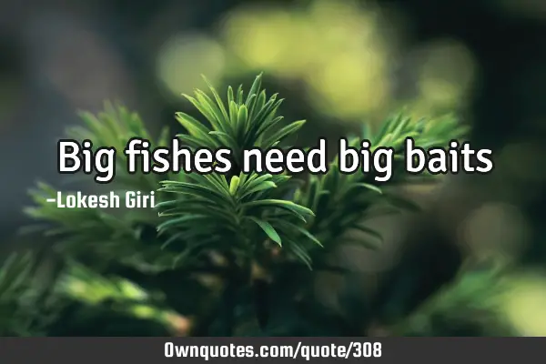 Big fishes need big