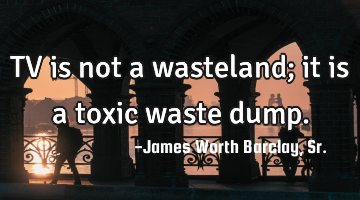 TV is not a wasteland; it is a toxic waste dump.
